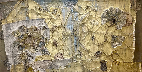 SENDEROS Andy Loisch